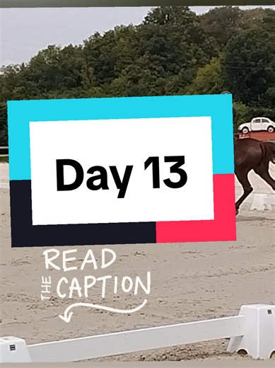 Day 13 POV: You work for a toxic Olympic rider for 8 years. After 5 years, I finally found a place to live in exchange for caretaking, only 15 minutes from the stables. For the first time, I was able to truly disconnect from work in the evenings. Since my accommodation at the stables had been included in my salary, I asked for a raise. She refused. That’s when I started to stand up for myself. So I decided to keep my room at the stables as well, leaving my belongings there so it couldn’t be rent