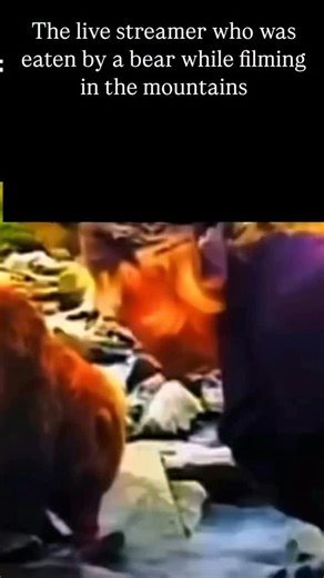 CrimeShort on Instagram: "Timothy Treadwell was an American environmental activist best known for his intense and controversial relationship with grizzly bears in Alaska. Born in 1957, Treadwell spent more than 13 summers living among wild grizzly bears in Katmai National Park. He believed he had a special bond with them and dedicated his life to protecting them from poachers and helping people understand their beauty. Treadwell filmed hundreds of hours of footage, often speaking directly to the