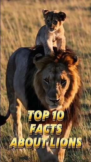 TOP 10 Facts About Lions You MUST Know!🦁