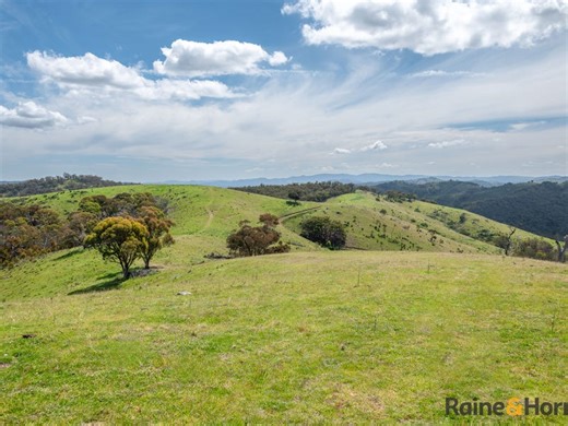 2553 Campfire Road, Walcha, NSW 2354