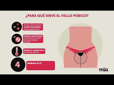 Ama tu cuerpo: el vello púbico y sus funciones.