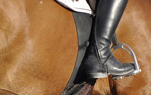 Belly bands: what are they and should I use one on my horse? - Horse & Hound