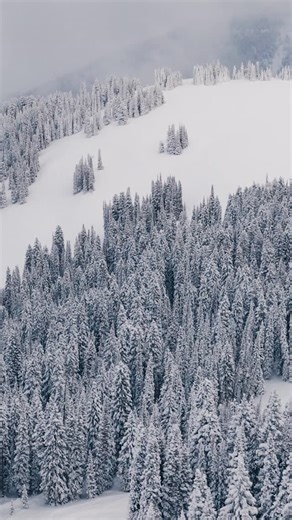 41 reactions | Snow season is here – let's catch upon some safety tips. ​ We're spotlighting the responsibility that comes with every ride. Snowmobiling demands respect for the machine, the environment, and your limits. Remember these tips and check your owner's manual before going out on your next ride. ​ #THINKOUTSIDE​​ @polarissnow | Polaris Inc. | Facebook