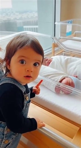 “Wait… There Are TWO?! 😲💛 Toddler’s Adorable Reaction to Newborn Twins in Hospital Nursery”