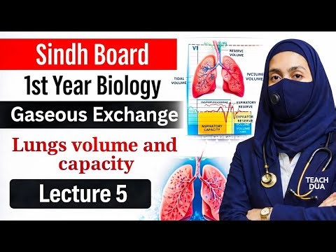 Sindh Board 1st Year Biology | Gaseous Exchange: Lungs Volumes & Capacities | Lecture 05