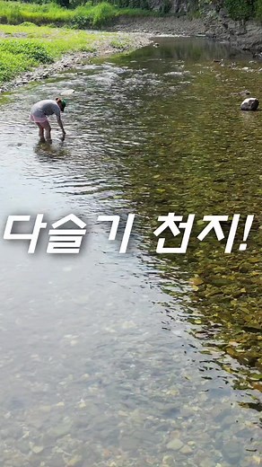 다슬기 줍고 물놀이하는 계곡 노지캠핑장 추천