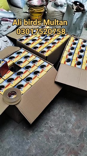 94 shares | Heating bulb ka stock available hy 03017520758 Ali birds Multan | Ali Butt | Facebook