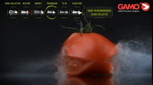 Gamo Hunter .177 Cal, 7.56 Grains, Domed, 250ct