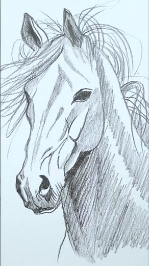 How to Draw a Horse Easily ✨Tutorial✨ #drawing #art #sketch