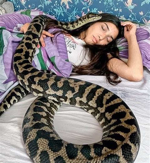 A woman slept with her python every night, but what the vet discovered left her speechless Every evening, Claire would cuddle up with her beloved python, sharing her bed with him as if he were an inseparable companion. Their unique bond seemed unbreakable… until the day the veterinarian made a shocking revelation that left her completely stunned. 👇 Discover the full article in the first comment 👇👇👇👇 | Pretty Stories