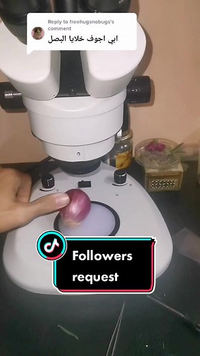 Exploring Onion Cells Under the Microscope