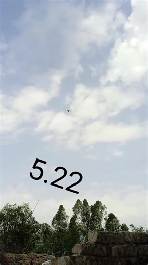 Captivating Sparrow in Flight Against Clear Sky