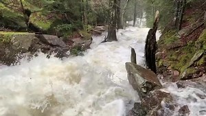 23K views · 735 reactions | The recent thaw and rain has fully activated the park’s seasonal waterfalls. This is the Giant Slide Trail off Sargent Mountain. Be careful out there. Video courtesy Darron Collins. | Friends of Acadia | Facebook