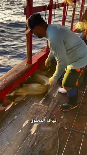 الرعب على متن القارب 😨😱