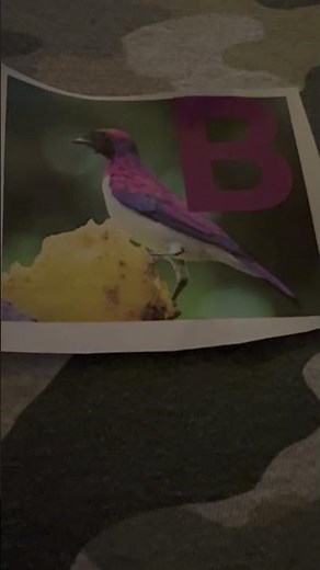 The Wiggles Bouncing Ball (Dance Party)