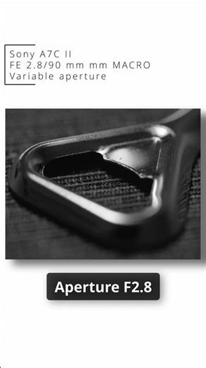 Aperture and depth of field in macro shots - Sony 90 mm MACRO #photography