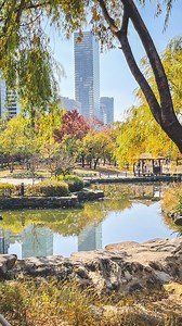 539K views · 795 reactions | Mood Automne activé par ici ️… et chez vous? . J’adore cette période de l’année, ma préférée avec le printemps. Cette semaine j’attaque la déco à la maison  . #autumn #autumnvibes #mood #meme #humour #christmas | Chez Misa | Facebook