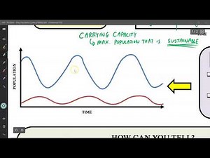 Predator - Prey Population Cycles