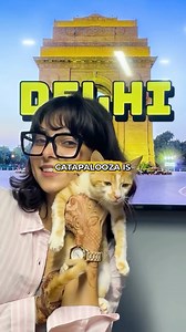 25K views · 101 reactions | Cat parents, assemble.  Catapalooza at...