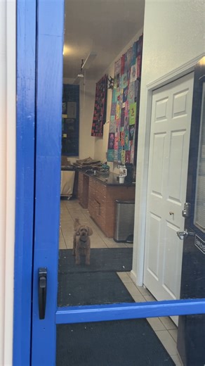 8.4K views · 174 reactions | Welcome to the Monday T-shirt Quilt...