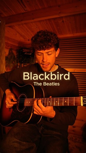 Blackbird – The Beatles | Easy Acoustic Guitar Tutorial 🎸#learnguitar#blackbird