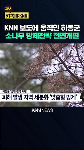 Hadong County's Pinewood Nematode Control Strategy Overhauled / KNN