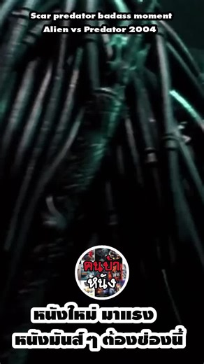 Scar predator badass moment - Alien vs Predator 2004 #คนบ้าหนัง #หนัง #predator #Scarpredator #หนังดี #หนังดีบอกต่อ #หนังน่าดู #หนังมันๆสนุกๆ #ขึ้นฟีดเถอะ #อย่าปิดการมองเห็น #Predator2004