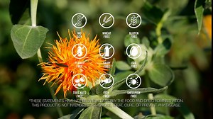 NatureWise CLA 1300 - 95% Active Conjugated Linoleic Acid for Women and Men, Not Stimulating, Supports Weight & Fitness Goals - Non-GMO, Gluten Free - 90 Softgels[1-Month Supply]