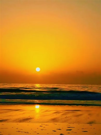 Baby Blue Eyes 🐳🌊🐬🌞 (@baby.blue.eyes.3737)’s videos with Just Like Paradise (2025 Remaster) - David Lee Roth