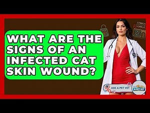 What Are The Signs Of An Infected Cat Skin Wound? - Ask A Pet Vet