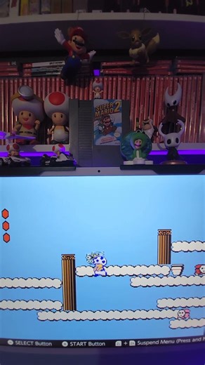 Back & Forth Shy Guy Action! 😂 SMB2