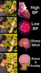 2.1M views · 5.7K reactions | Daily Mudras #motivation #high #low #blood #pressure #sharpens #memory #stress #anxiety #yoga #Lord | Sarv Samridhi Yoga | Facebook