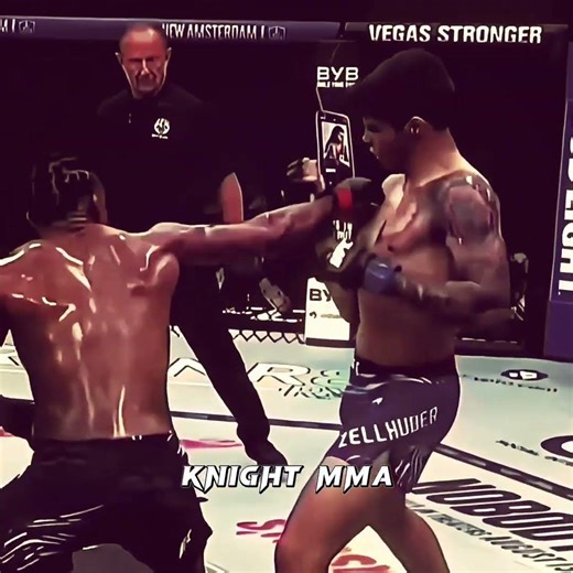 Fastest Lightweight fighter - Michael Johnson #ufc #mma #michaeljohnson #ufcfighter