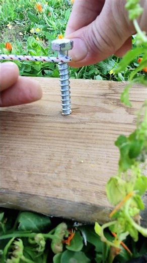 🔥 Discover the Power of Knots – Simple Tricks That Can Save Your Day!