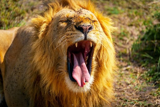 7 - 14 Days Backpacking Kenya Itinerary