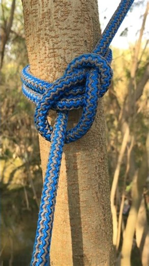 Ultimate Rope Knot for Tree Anchoring!#knots #shorts 💯
