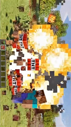 Minecraft Sheep Turned Into TNT 😭#shorts #ytshorts #steve #viral #trending #minecraft