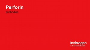 Perforin antibodies from Thermo Fisher Scientific