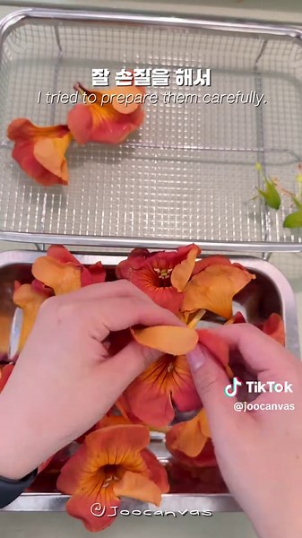 능소화로 만드는 물감: 창의적인 DIY 프로젝트