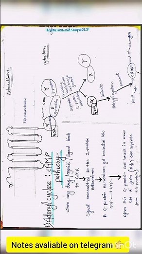 G-protein coupled receptors(GPCR)Easy explanation,check plzz