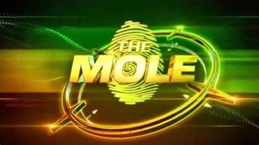 Why The Mole, AKA Reality TV's Most Chaotic Show, Is Long Overdue For A Comeback