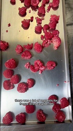 Best freeze dried snack 😍 (raspberries)