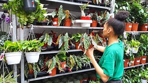 Plantes pour Tous revient à Nice avec une grande vente de plantes à 2€ ce week-end