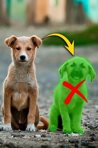 How To Remove Object From a Photo in Photoshop #shorts
