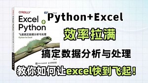 封神之作！《Excel Python飞速搞定数据分析与处理》建议想学Python的同学，都去死磕这本书！（数据分析PythonExcel数据处理教程）