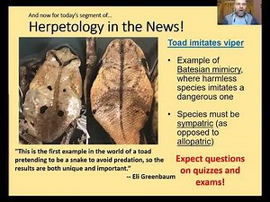 Herpetology Lecture 26 Jan. 2022