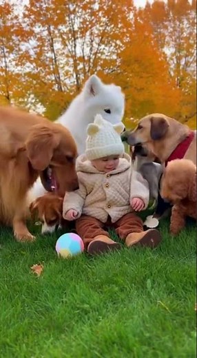 10 Cute Dog Playing with Baby Heartwarming Moments 🐶👶