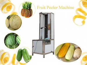 Fruit Peeling Machine Manufacturer | Electric Fruit Peeler