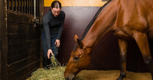 Alimentation du cheval : que lui donner à manger ?