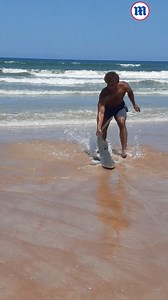 This group is trying to get a stranded shark back in the water! 🦈 | Daily Mail Video